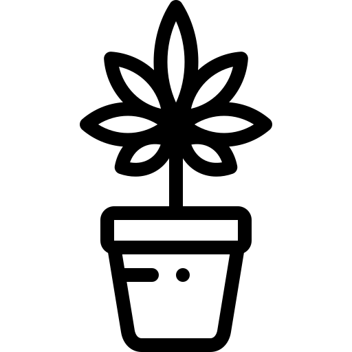 CVIJETOVI